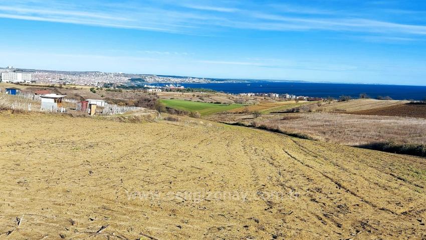 Preisgünstiges Grundstück Mit Freiem Blick Auf Meer, Natur Und Stadt, Bebauungsplan Für 20 % Zweigeschossige Bebauung.