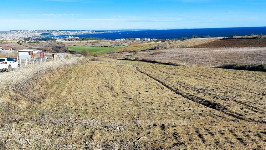 Preisgünstiges Grundstück Mit Freiem Blick Auf Meer, Natur Und Stadt, Bebauungsplan Für 20 % Zweigeschossige Bebauung.