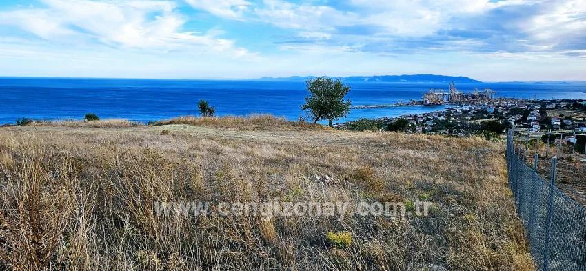 Land Zu verkaufen in Barbaros Bz. Süleymanpaşa Kumbağ - Gehäuse-Zonierung - 528 m²