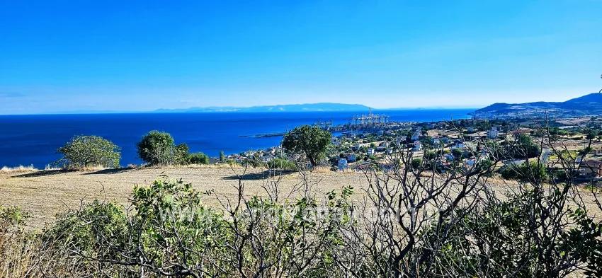 Land Zu verkaufen in Barbaros Bz. Süleymanpaşa Kumbağ - Gehäuse-Zonierung - 2.780 m²