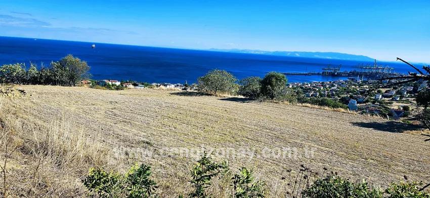 Land Zu verkaufen in Barbaros Bz. Süleymanpaşa Kumbağ - Gehäuse-Zonierung - 2.780 m²