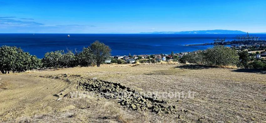 Land Zu verkaufen in Barbaros Bz. Süleymanpaşa Kumbağ - Gehäuse-Zonierung - 2.780 m²