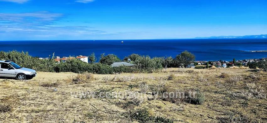Land Zu verkaufen in Barbaros Bz. Süleymanpaşa Kumbağ - Gehäuse-Zonierung - 2.780 m²
