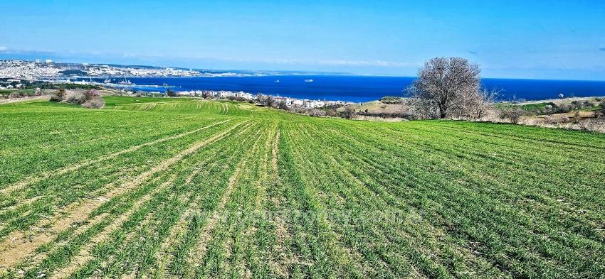Grundstück Mit Freiem Meer- Und Naturblick, Geeignet Für Ein Villenprojekt Mit 75 Villen In Tekirdağ Barbarosta