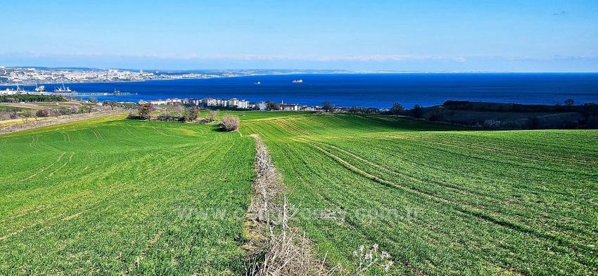 Grundstück Mit Freiem Meer- Und Naturblick, Geeignet Für Ein Villenprojekt Mit 75 Villen In Tekirdağ Barbarosta
