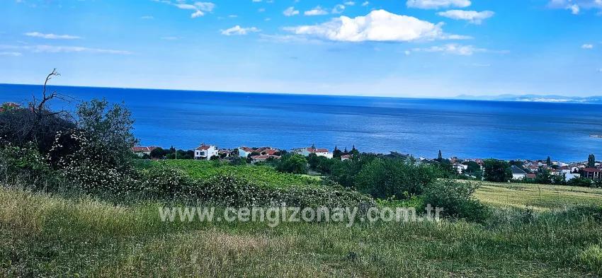 Gelände Zu verkaufen in Barbaros Bz. Süleymanpaşa Kumbağ - Gehäuse-Zonierung - 6.100 m²