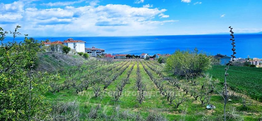 45 2+1 Apartments Mit Einzigartigem Panoramablick Auf Meer Und Natur, Geeignet Für Genossenschaftsprojekte