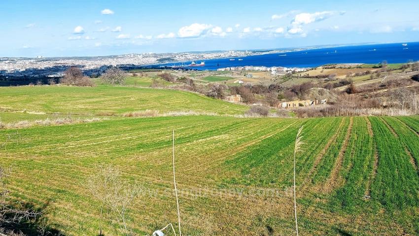 Grundstück Geeignet Für 8 Villenprojekte Mit Vollem Meer- Und Naturblick In Tekirdağ Barbarosta
