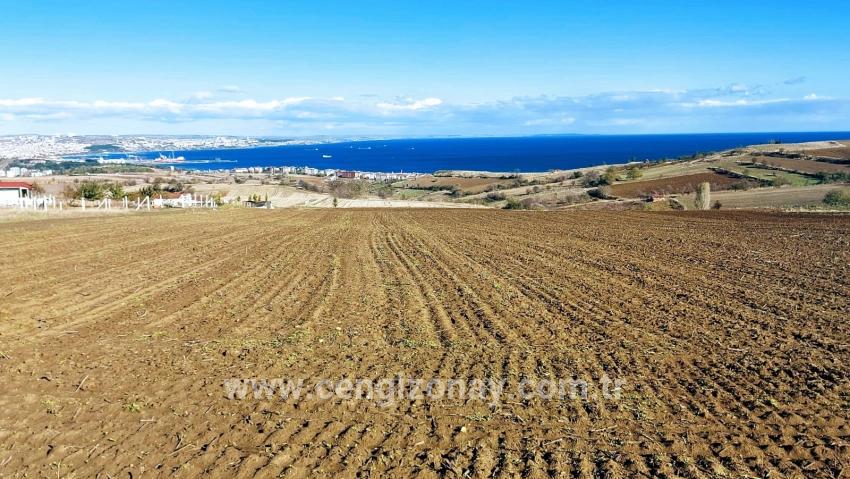 Gelände Zu verkaufen in Barbaros Bz. Süleymanpaşa Kumbağ - Villa-Zonierung - 6.350 m²