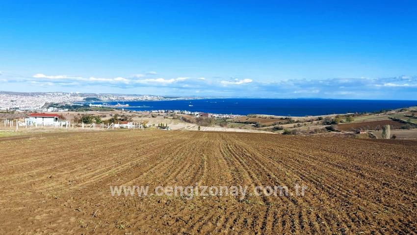 Gelände Zu verkaufen in Barbaros Bz. Süleymanpaşa Kumbağ - Villa-Zonierung - 6.350 m²