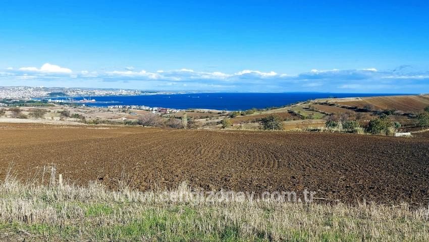 Gelände Zu verkaufen in Barbaros Bz. Süleymanpaşa Kumbağ - Villa-Zonierung - 6.350 m²