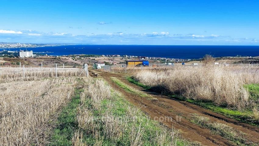 Bewerben Sie Sich Jetzt Für Das Projekt „Luxusvilla In Notfällen Stundenweise Mieten“ Und Profitieren Sie Von Hohen Verdienstmöglichkeiten Sowie Einem Uneingeschränkten Meer- Und Naturblick.