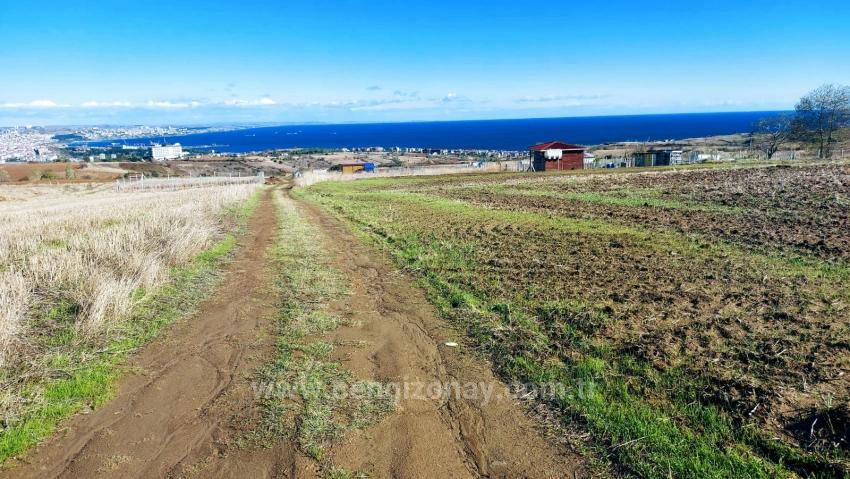 32 Luxusvillen Mit Herrlichem Meer-, Natur- Und Stadtblick, Für Das Projekt Geeignetes Grundstück