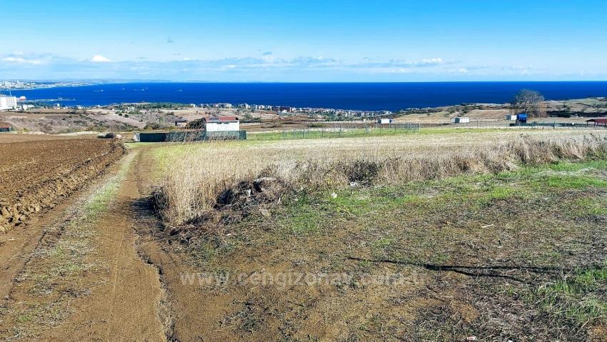 32 Luxusvillen Mit Herrlichem Meer-, Natur- Und Stadtblick, Für Das Projekt Geeignetes Grundstück