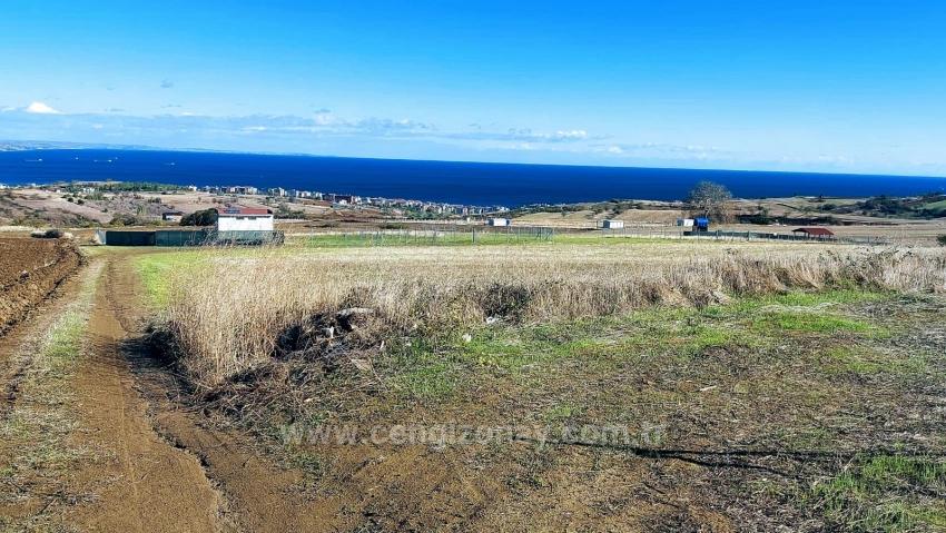 32 Luxusvillen Mit Herrlichem Meer-, Natur- Und Stadtblick, Für Das Projekt Geeignetes Grundstück