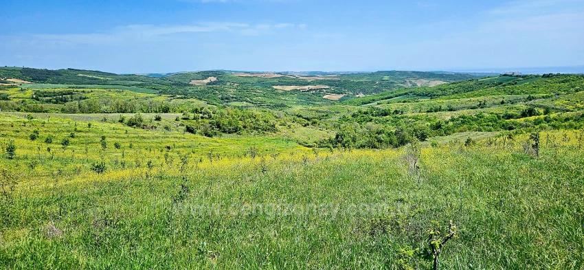 Tauschhandel + Bargeld* Bauen Sie Mit Staatlicher Unterstützung Einen Bauernhof Auf* Produzieren Und Anbauen* Sichern Sie Ihre Zukunft*