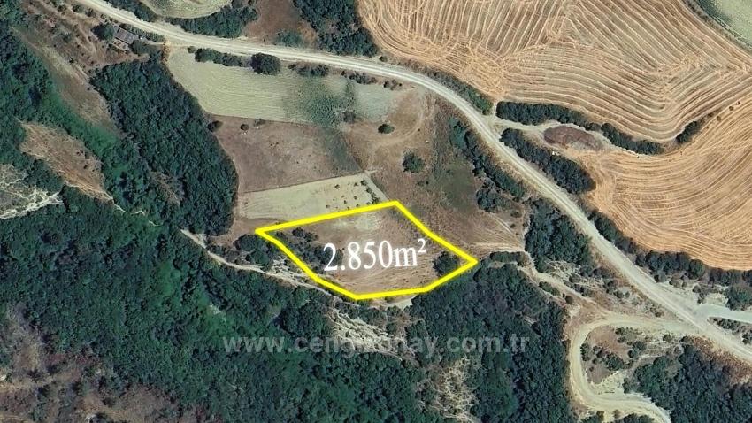 Feld Zu Verkaufen in Avşar Bz. Süleymanpaşa - Feld-Zonierung - 2.850 m²