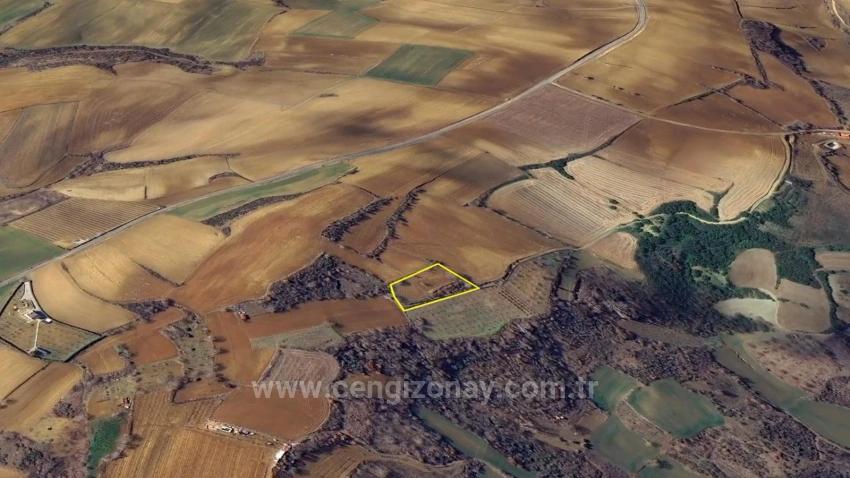 Investitionsmöglichkeit: Garantierter Hoher Gewinn Kurzfristig Für Diejenigen, Die Kaufen Und Verkaufen Möchten.