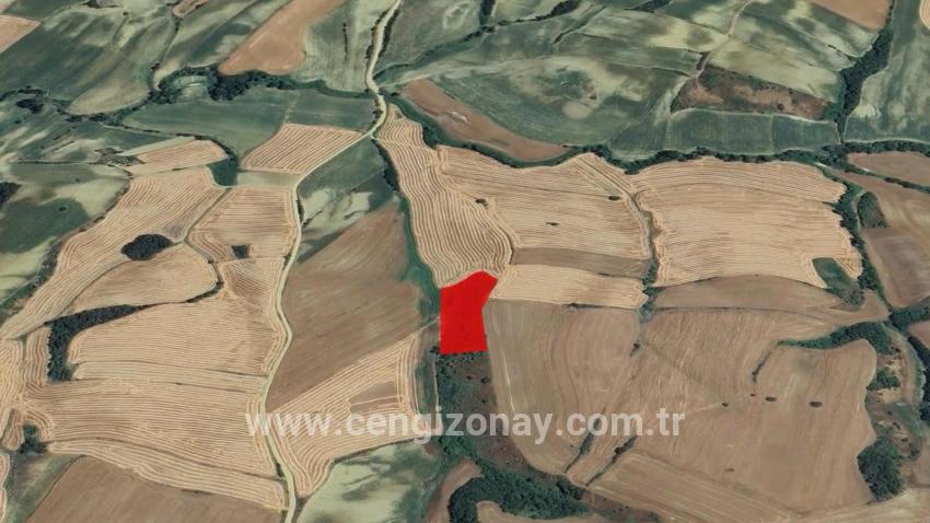 Feld Zu verkaufen in Oruçbeyli Bz. Süleymanpaşa - Feld-Zonierung - 8.100 m²