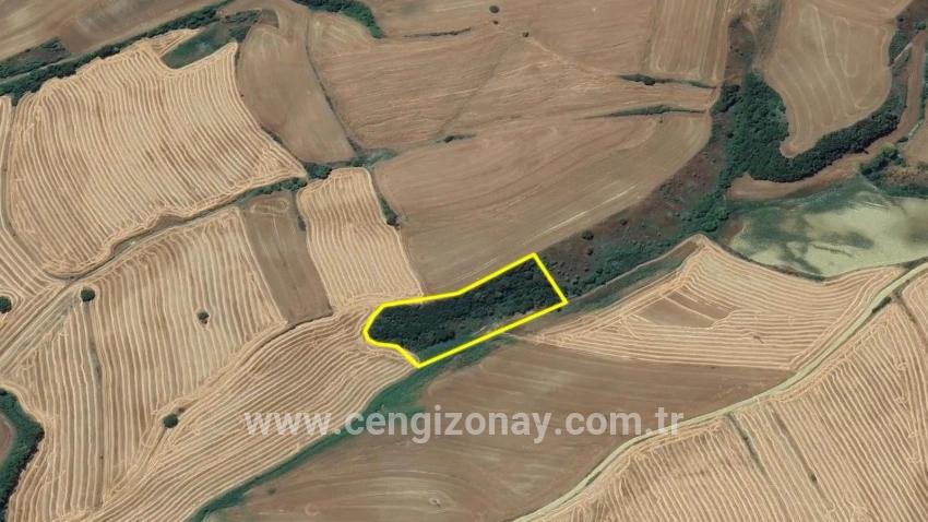 Feld Zu verkaufen in Oruçbeyli Bz. Süleymanpaşa - Feld-Zonierung - 8.100 m²
