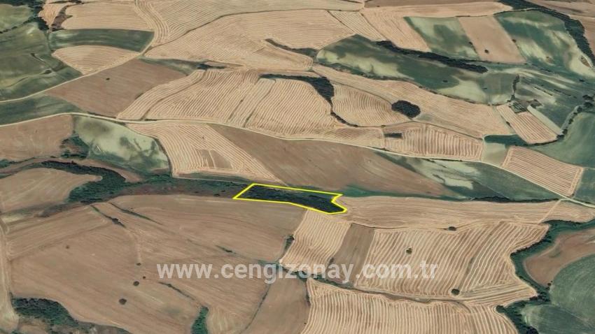 Feld Zu verkaufen in Oruçbeyli Bz. Süleymanpaşa - Feld-Zonierung - 8.100 m²