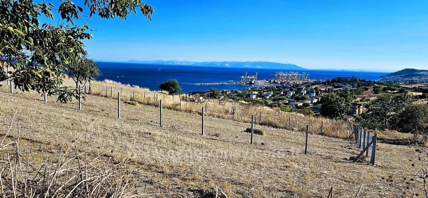 Hohe Gewinngarantie Für Alle, Die Dringend Kaufen Und Verkaufen Müssen – Aufgrund Von Bargeldbedarf.