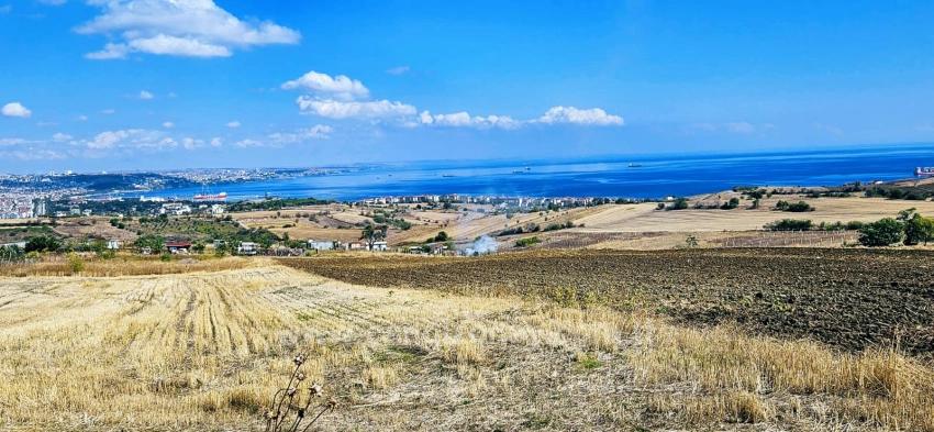 Grundstücksmöglichkeit, Geeignet Für 4 Luxusvillen Mit Uneingeschränktem Meerblick