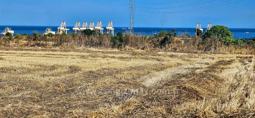 8.500 M² Großes Wohnbaugrundstück Mit Hohem Gewinnpotenzial, In Der Nähe Des Hafens Von Asyaport