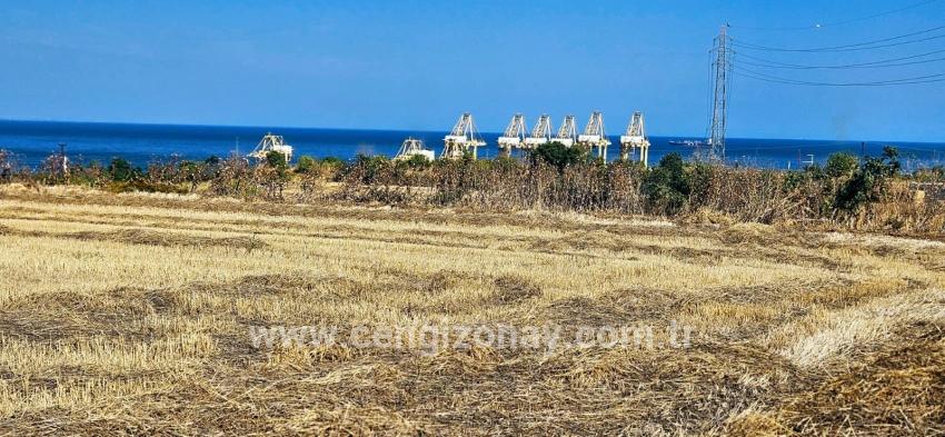 Feld Zu verkaufen in Barbaros Bz. Süleymanpaşa Kumbağ - Gehäuse-Zonierung - 8.500 m²