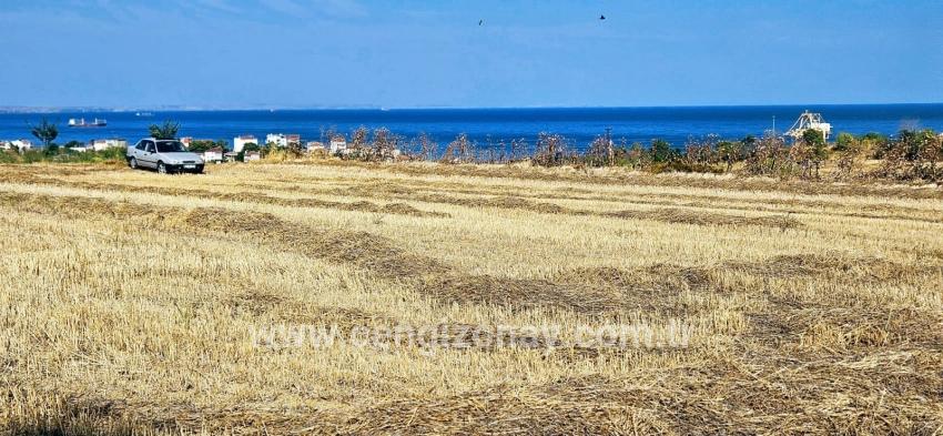 Feld Zu verkaufen in Barbaros Bz. Süleymanpaşa Kumbağ - Gehäuse-Zonierung - 8.500 m²