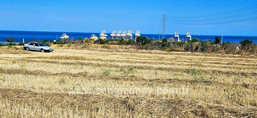 Feld Zu verkaufen in Barbaros Bz. Süleymanpaşa Kumbağ - Gehäuse-Zonierung - 8.500 m²