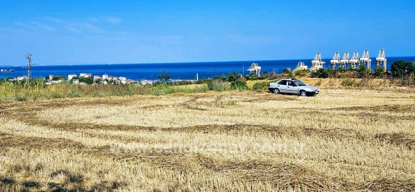 Feld Zu verkaufen in Barbaros Bz. Süleymanpaşa Kumbağ - Gehäuse-Zonierung - 8.500 m²