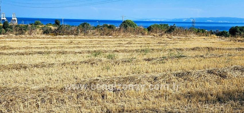 Feld Zu verkaufen in Barbaros Bz. Süleymanpaşa Kumbağ - Gehäuse-Zonierung - 8.500 m²
