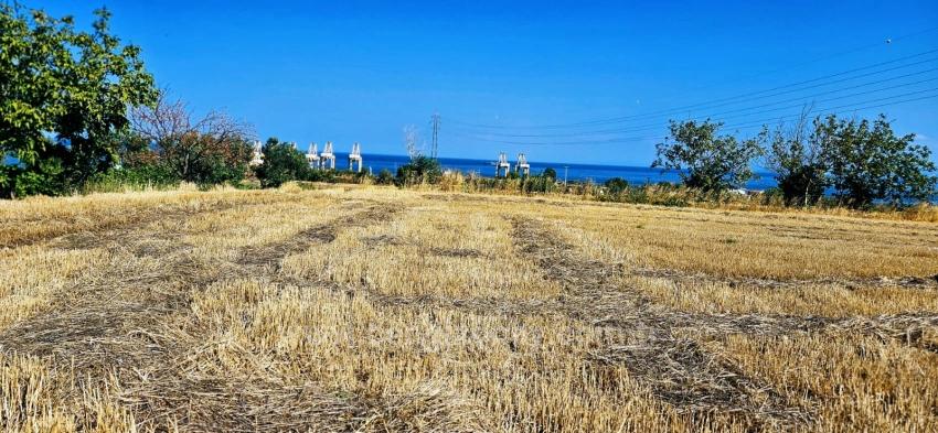 8.500 M² Großes Wohnbaugrundstück Mit Hohem Gewinnpotenzial, In Der Nähe Des Hafens Von Asyaport