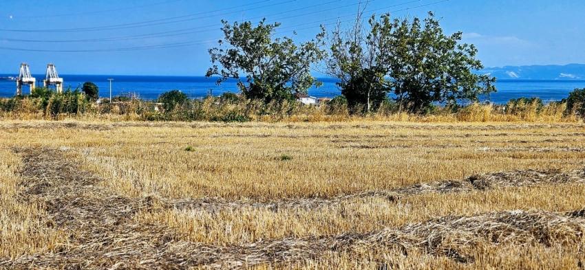 8.500 M² Großes Wohnbaugrundstück Mit Hohem Gewinnpotenzial, In Der Nähe Des Hafens Von Asyaport