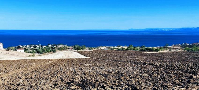 Schnäppchen-Coupon-Land Mit Vollem Meer- Und Naturblick Ist Im Vergleich Zu Seinen Vergleichsobjekten Sehr Erschwinglich