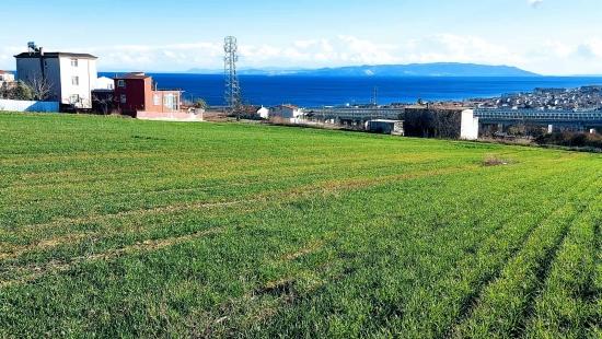 Eine Großartige Gelegenheit Für Alle, Die Eine Immobilie Mit Freiem Meer- Und Naturblick Kaufen Oder Verkaufen Möchten, Nur 1 Km Von Kumbağa Entfernt.