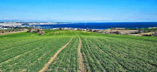 Grundstück Mit Freiem Meer- Und Naturblick, Geeignet Für Ein Villenprojekt Mit 75 Villen In Tekirdağ Barbarosta