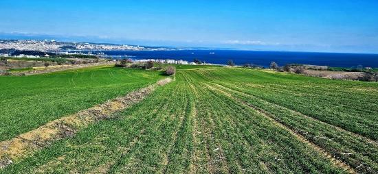 Grundstück Mit Freiem Meer- Und Naturblick, Geeignet Für Ein Villenprojekt Mit 75 Villen In Tekirdağ Barbarosta