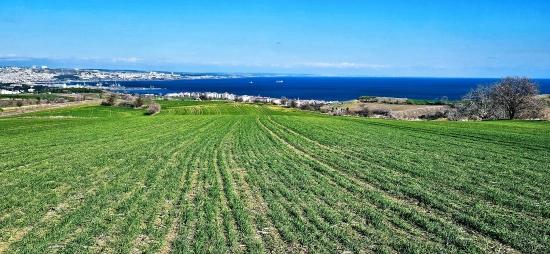 Grundstück Mit Freiem Meer- Und Naturblick, Geeignet Für Ein Villenprojekt Mit 75 Villen In Tekirdağ Barbarosta