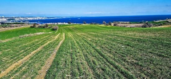 Grundstück Mit Freiem Meer- Und Naturblick, Geeignet Für Ein Villenprojekt Mit 75 Villen In Tekirdağ Barbarosta