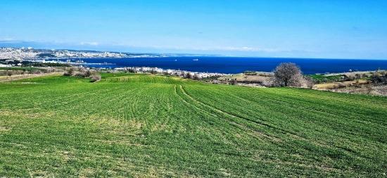 Grundstück Mit Freiem Meer- Und Naturblick, Geeignet Für Ein Villenprojekt Mit 75 Villen In Tekirdağ Barbarosta