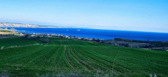Grundstück Mit Freiem Meer- Und Naturblick, Geeignet Für Ein Villenprojekt Mit 75 Villen In Tekirdağ Barbarosta