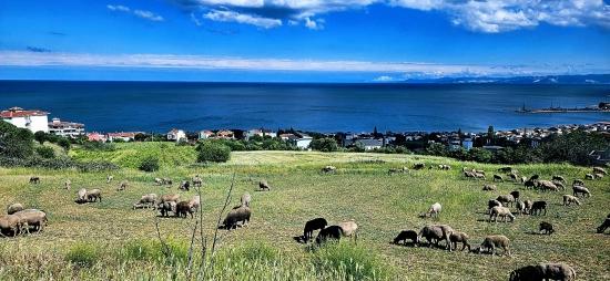15 Luxuriöse Villen Mit Einzigartigem Panoramablick Auf Meer Und Natur, Gelegen In Einer Für Das Projekt Geeigneten Gegend.