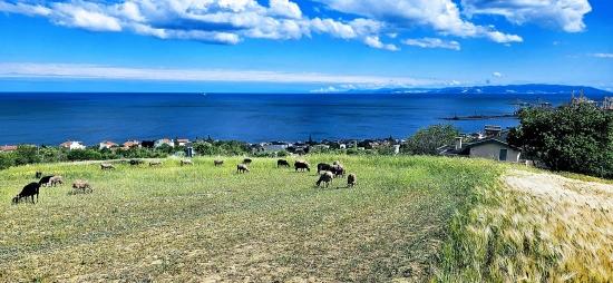 15 Luxuriöse Villen Mit Einzigartigem Panoramablick Auf Meer Und Natur, Gelegen In Einer Für Das Projekt Geeigneten Gegend.