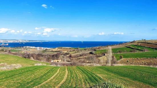 Grundstück Geeignet Für 8 Villenprojekte Mit Vollem Meer- Und Naturblick In Tekirdağ Barbarosta