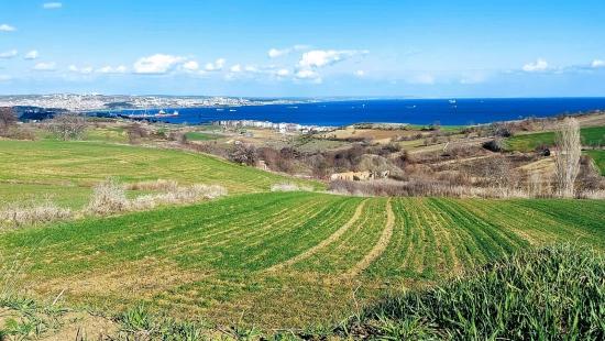 Grundstück Geeignet Für 8 Villenprojekte Mit Vollem Meer- Und Naturblick In Tekirdağ Barbarosta