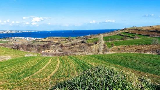 Grundstück Geeignet Für 8 Villenprojekte Mit Vollem Meer- Und Naturblick In Tekirdağ Barbarosta