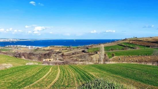 Grundstück Geeignet Für 8 Villenprojekte Mit Vollem Meer- Und Naturblick In Tekirdağ Barbarosta