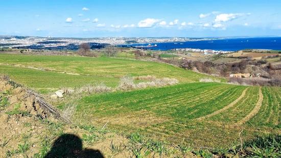 Grundstück Geeignet Für 8 Villenprojekte Mit Vollem Meer- Und Naturblick In Tekirdağ Barbarosta